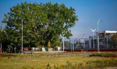 Plaza Principal de Santo Tomás