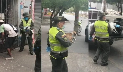 Policía rescatando tres mascotas en el barrio Universal de Barranquilla.