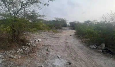 Vía al Caño de las palomas.