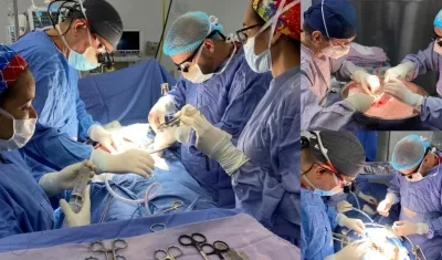 Imágenes de los trasplantes.