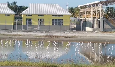 Puebloviejo, Magdalena.