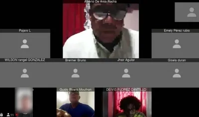 Aspecto de la audiencia virtual.