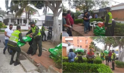 Fotos de la actividad de la Policía Ambiental y Ecológica y Fuama.