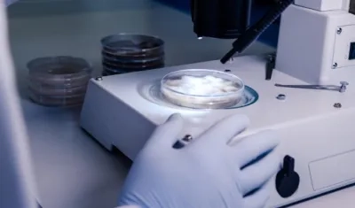 De una muestra de 38 pacientes, seis (15,8 %) dieron positivo por coronavirus en el semen.