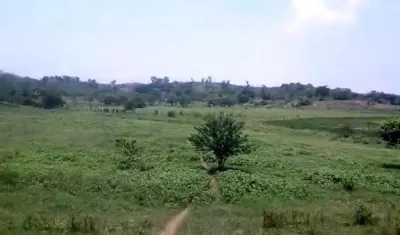 La zona de reserva natural 'La Montañita'.