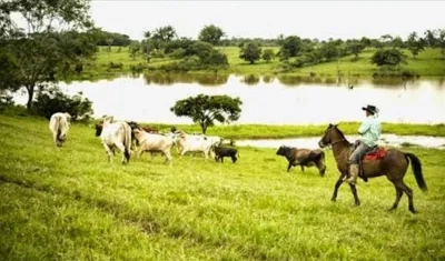 En el curso de la investigación se demostró que Lacouture Armenta declaró la inexistencia de la ciénaga de Amanzaguapos, Dividivi y Caño Viloria.