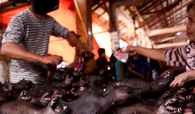 Venta de murciélagos asados.