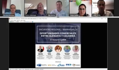 Más de 150 personas se conectaron online. 