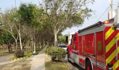 Presencia de Barranquilla Verde y del Cuerpo de Bomberos en el sector.