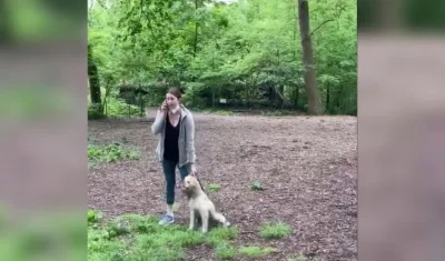 La mujer paseaba el perro sin correa por Central Park.