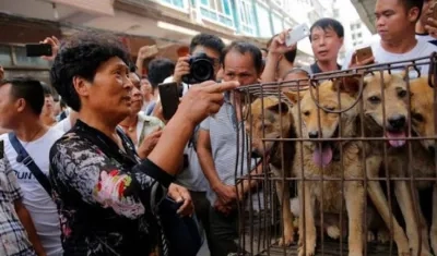 El Ministerio agrega que “hoy en día, los perros tienen otros usos".