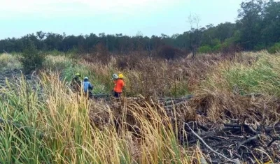 Imagen del Parque Isla Salamanca.