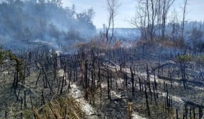 Imagen del incendio.