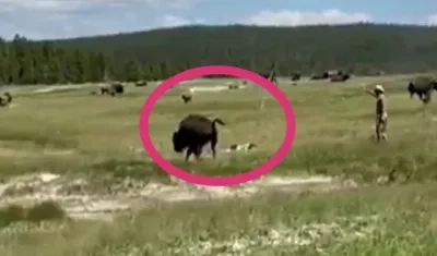 Momento en el que la mujer finge su muerte.