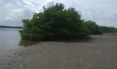 Ciénaga de Mallorquín.