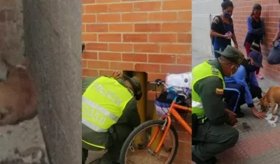 Rescate de la perrita.