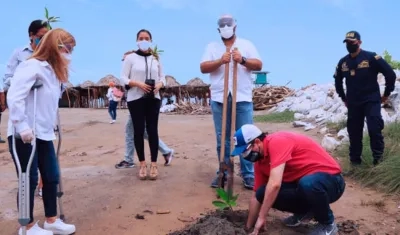 Gobernadora durante la siembra de un árbol cerca de una playa.