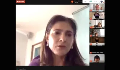 La Ministra Ángela María Orozco durante el debate virtual.