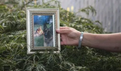 Buddy comenzó a tener comenzó a tener problemas respiratorios a mediados de abril, mes en que cumplió siete años.