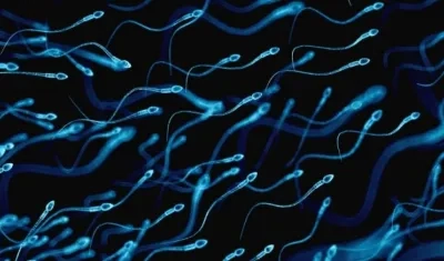 El equipo reveló que se trata de una ilusión óptica.