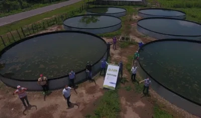 Terreno para la unidad de cultivo intensivo de tilapia roja.