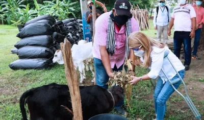 16 municipios del Atlántico serán beneficiados con este gran centro de forraje, el cual hace parte de las estrategias del programa "El Campo a toda Marcha".