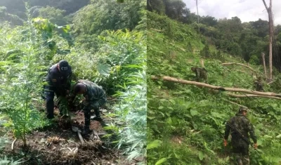 Momento del operativo en zona rural del municipio de Ciénaga.