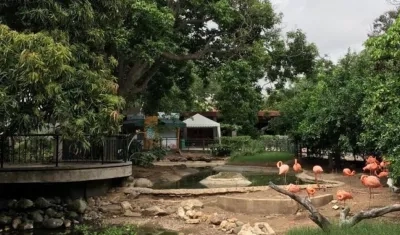 Panorámica del Zoológico de Barranquilla.