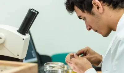 Convocatoria para jóvenes graduados en medicina que estén finalizando su internado.