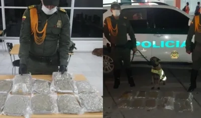 Droga incautada por la Policía.