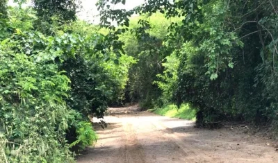 La zona protegida está ubicada en Usiacurí, Atlántico.