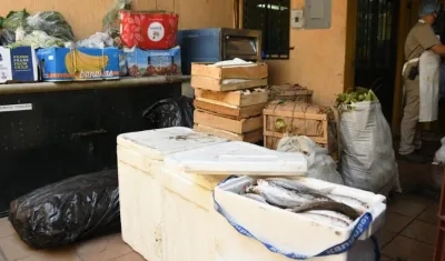 Parte del lote de alimentos entregados.