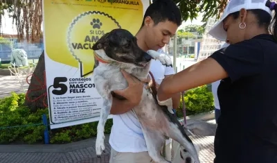 Una jornada de vacunación de la Alcaldía de Barranquilla.