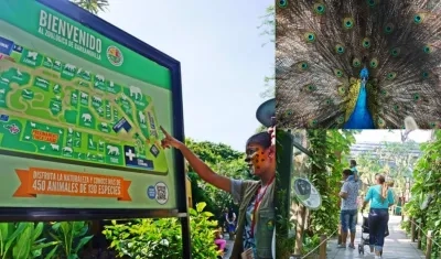 El Zoológico reabre sus puertas el 23 de septiembre.