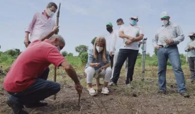 La Gobernadora Elsa Noguera acompañando la siembra.