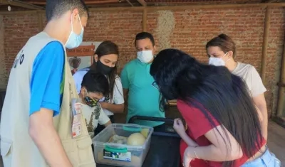 El Zoológico de Barranquilla recibió acreditación internacional.