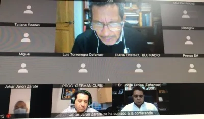 Imagen de la audiencia virtual.