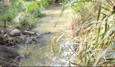 Aguas residuales convertidas en focos de infección.