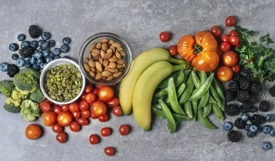 Alimentos tenidos en cuenta en las dietas.