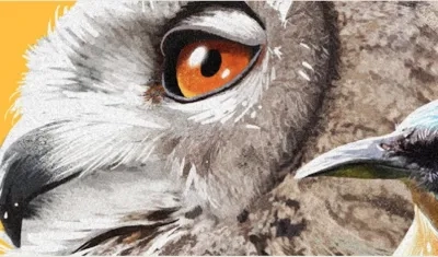 Una guía práctica para todos de turismo de naturaleza.