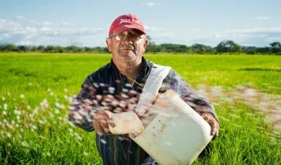 Crisis del sector afectaría a 16 mil 400 cultivadores del grano.