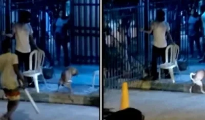 Imágenes del ataque. 