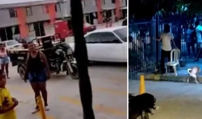 Imágenes de lo ocurrido.