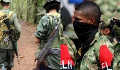 Imágenes referenciales.