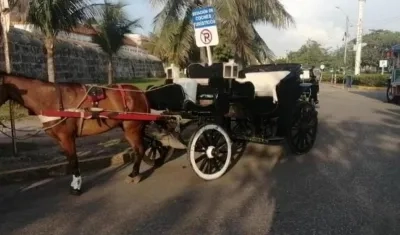 Los famosos coches de Cartagena desaparecerían.