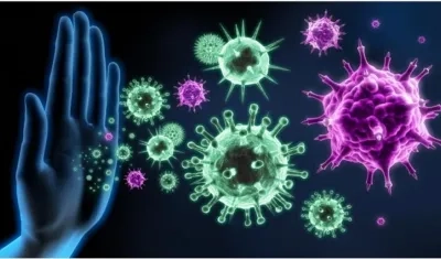 Este mecanismo del cuerpo humano funciona como la barrera ante los virus, bacterias y contra enfermedades, infecciones y ataques de patógenos externos. 