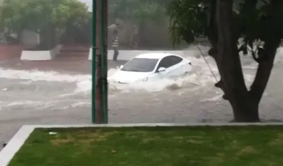 Instantes en que vehículo conducido por profesor universitario 