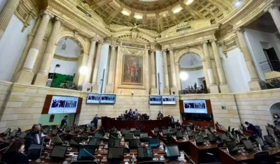 Plenaria del Senado de la República.