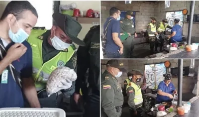 Procedimiento de las autoridades, al detectar carne de tortuga. 