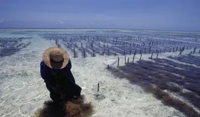 Doce países se comprometen con recursos para contribuir a la resiliencia climática.